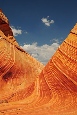 DSC_2837.jpg (4288x2848) NIKON D300 - 18-200mm f/3.5-5.6 // F9 // 1/320 sec // ISO 200 // 31,0 mm // no Flash // 2008:07:17 11:27:47 DSC_2837.jpg (4288x2848) NIKON D300 - 18-200mm f/3.5-5.6 // F9 // 1/320 sec // ISO 200 // 31,0 mm // no Flash // 2008:07:17 11:27:47